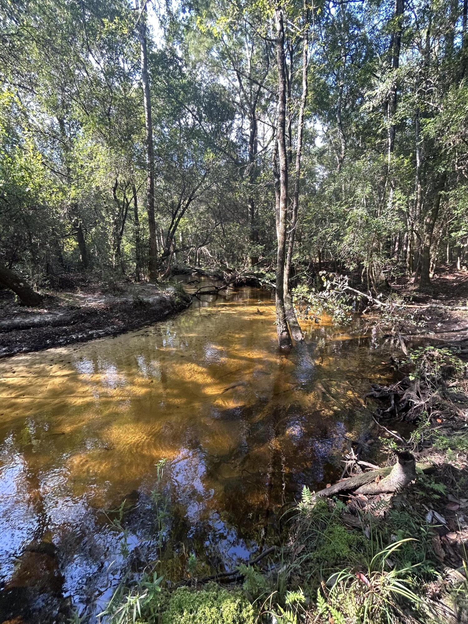 329 Sunflower Lane Freeport, FL 32439 - Photo 36 of 39 a view of a yard with swimming pool