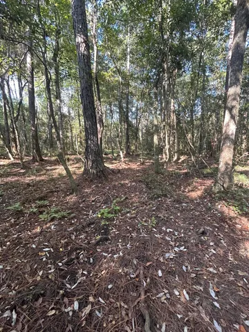 $5,195,000 | 329 Sunflower Lane, Freeport, FL 32439