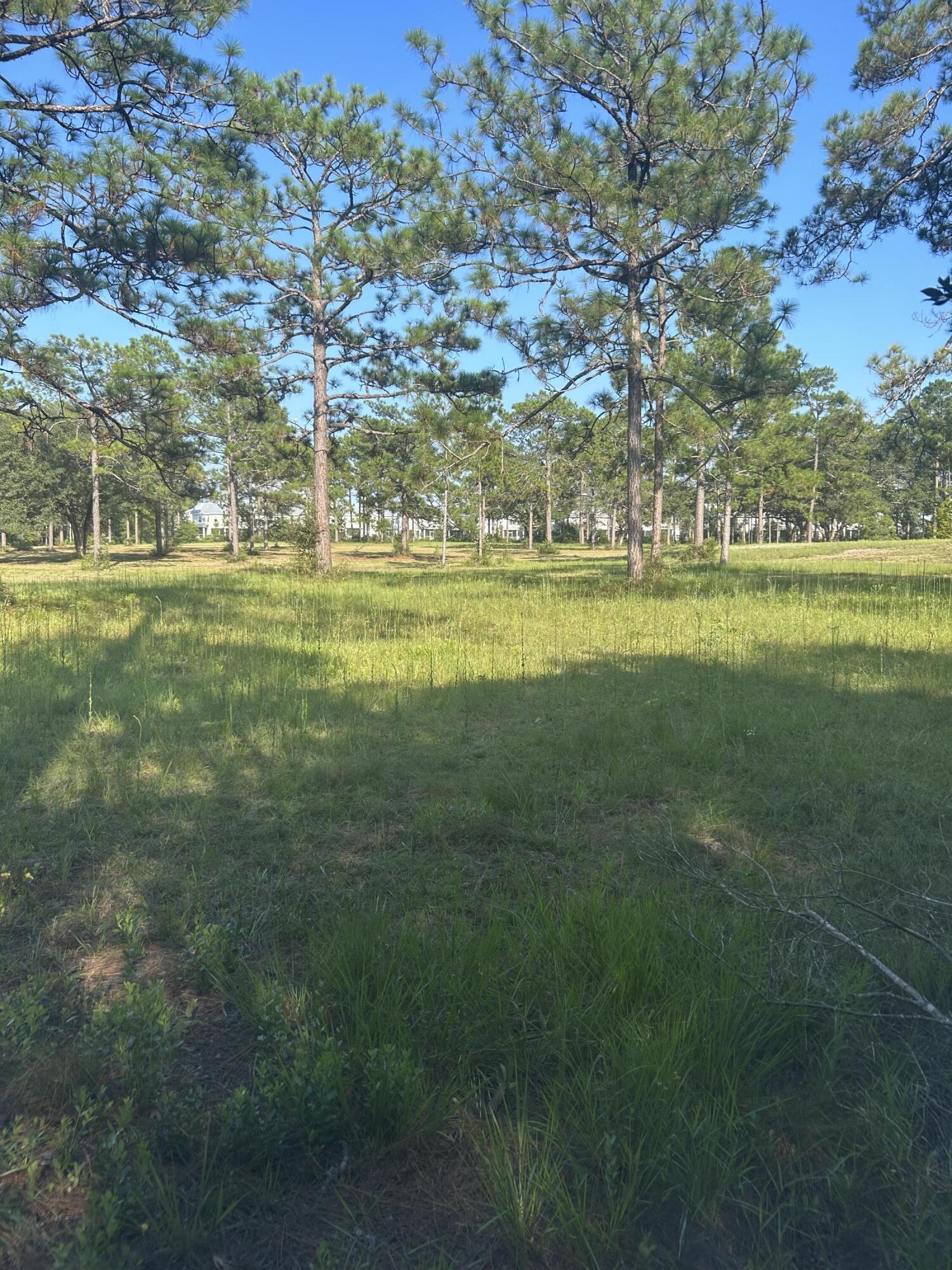 329 Sunflower Lane Freeport, FL 32439 - Photo 38 of 39 a view of swimming pool with outdoor seating and yard