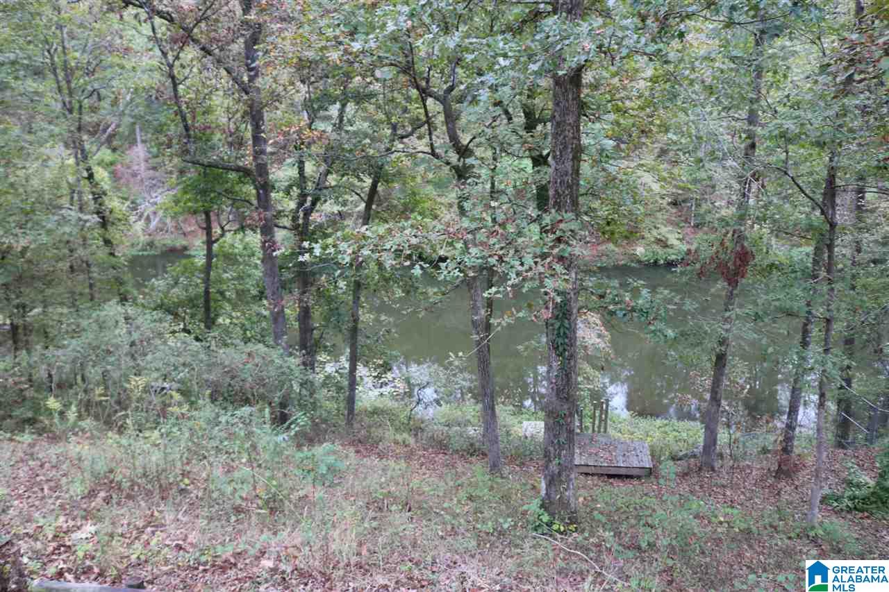 9018 Manley Vines Camp Road Bessemer, AL 35023 - Photo 29 of 46