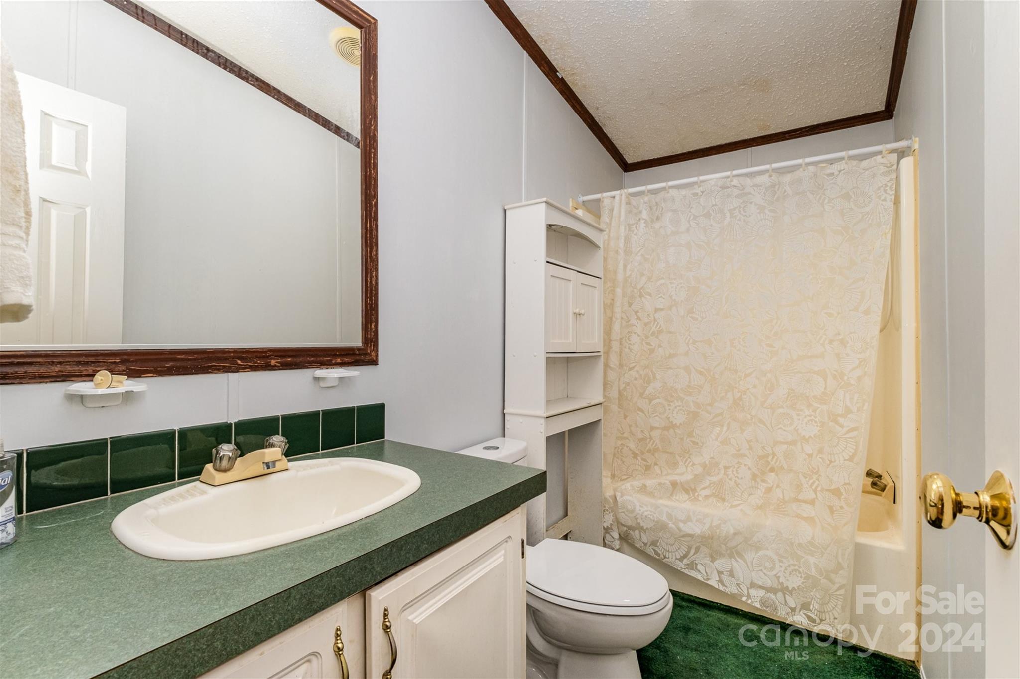 1680 Thompson Quarters Road Sharon, SC 29742 - Photo 28 of 37 a bathroom with a sink and a mirror