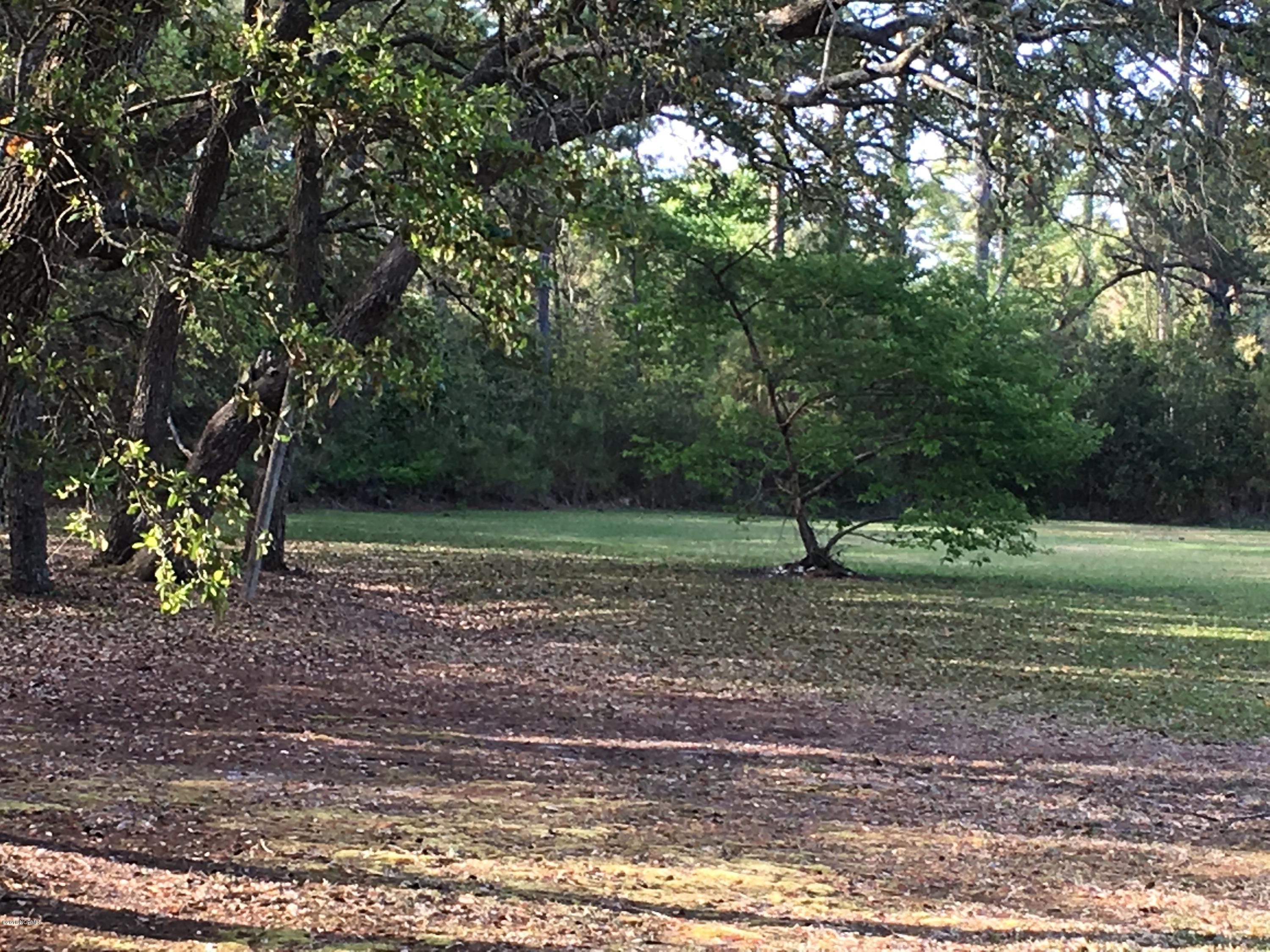 245 Core Sound Loop Road Atlantic, NC 28511 - Photo 51 of 59 Back Yard