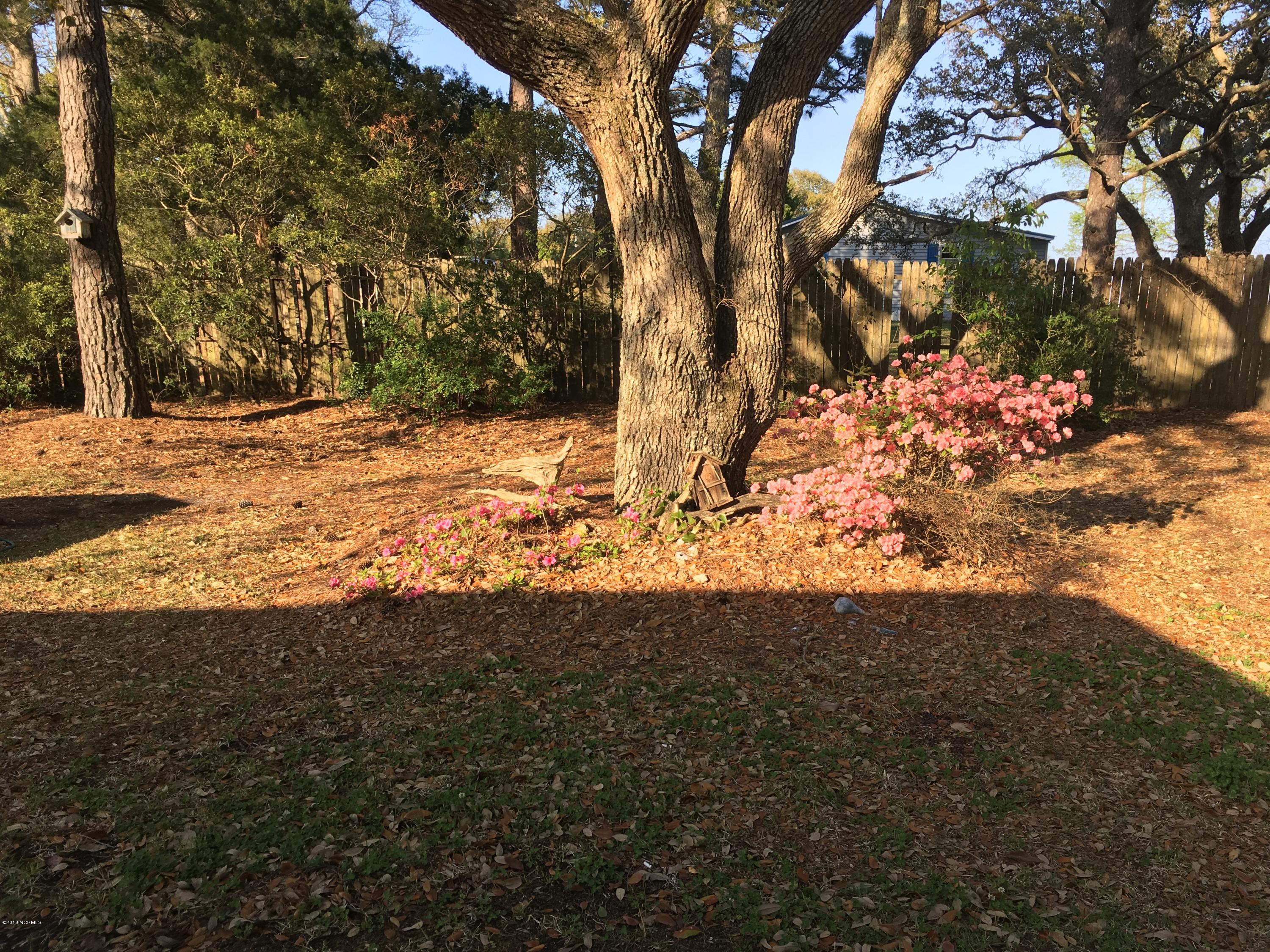 245 Core Sound Loop Road Atlantic, NC 28511 - Photo 54 of 59 SideYard