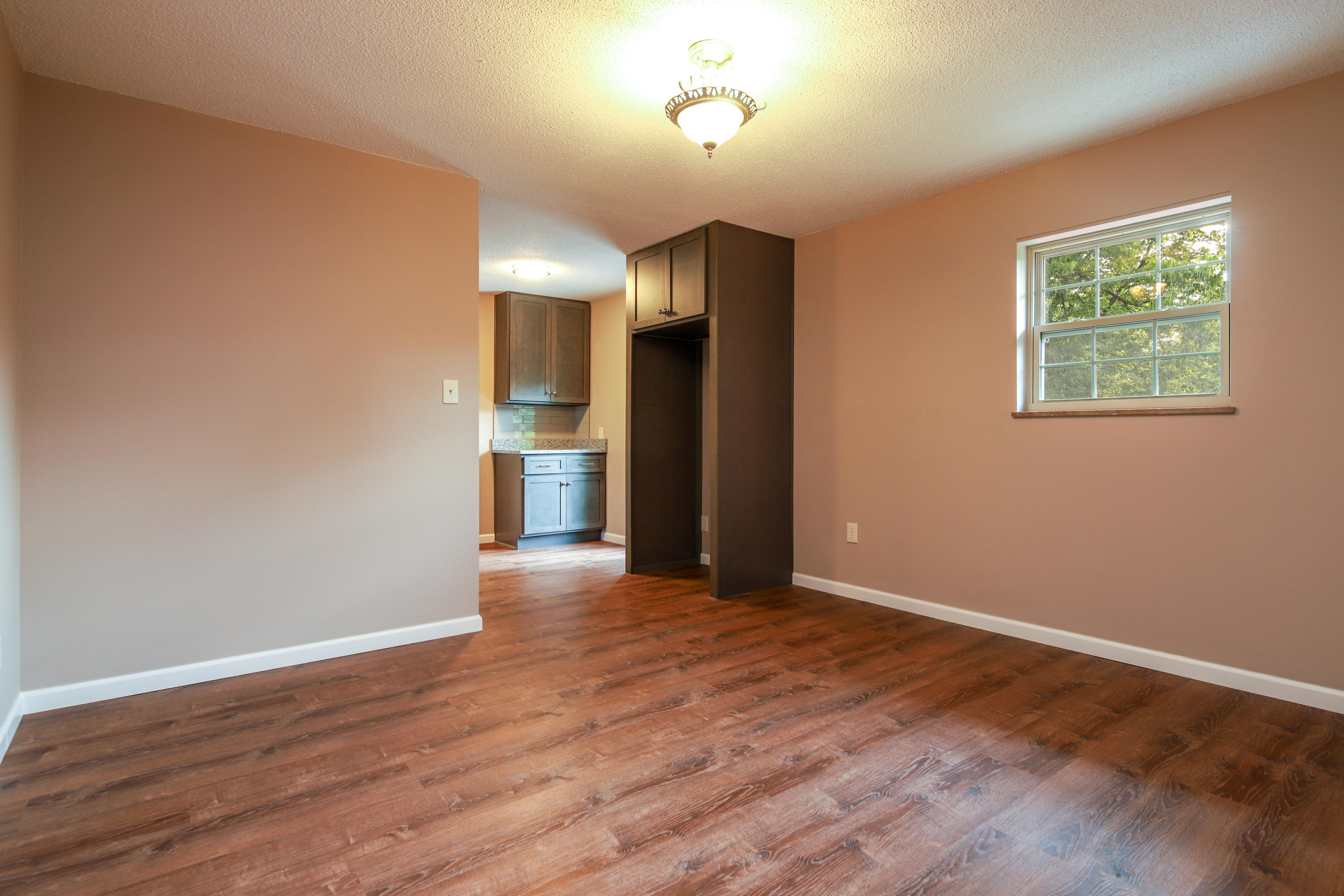 4813 Salem Road Greenback, TN 37742 - Photo 9 of 26 IMG_0238-Edit