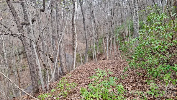 a view of a yard with plants and wooden fence