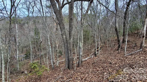 a view of a pathway with a yard