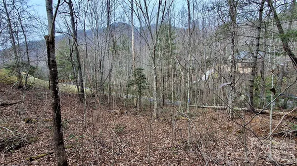 a view of a yard with trees