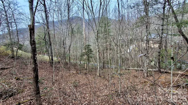 a view of a yard with plants and trees