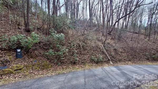 a view of a fire pit with large trees