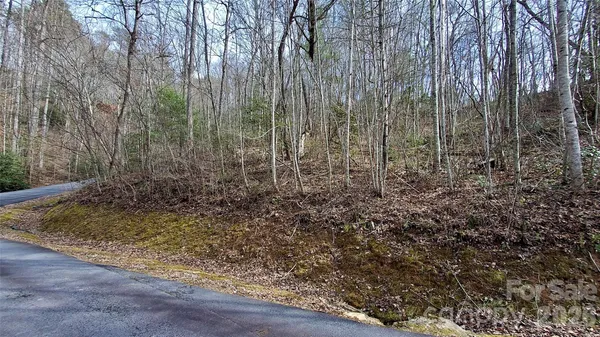 a view of a yard with lots of bushes