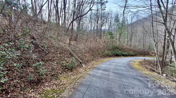 a view of a yard with plants and trees
