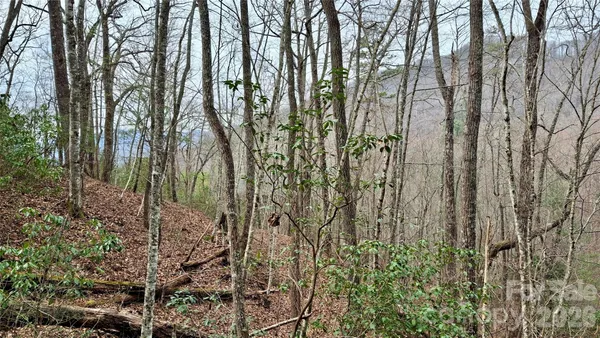 a view of backyard with green space