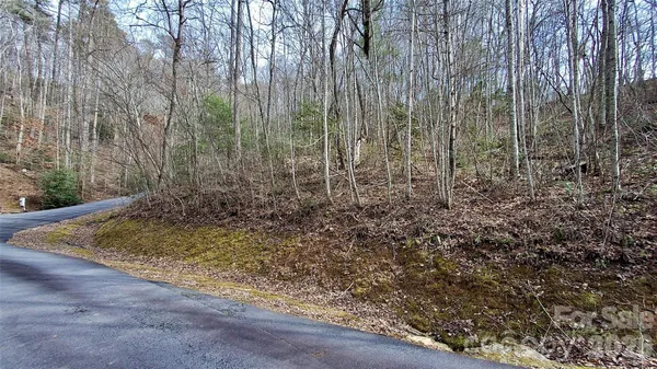 a view of a yard with large trees