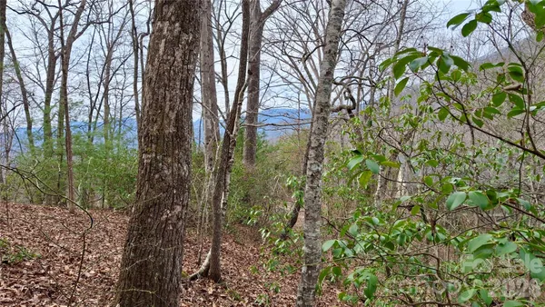 a view of a backyard with pathway