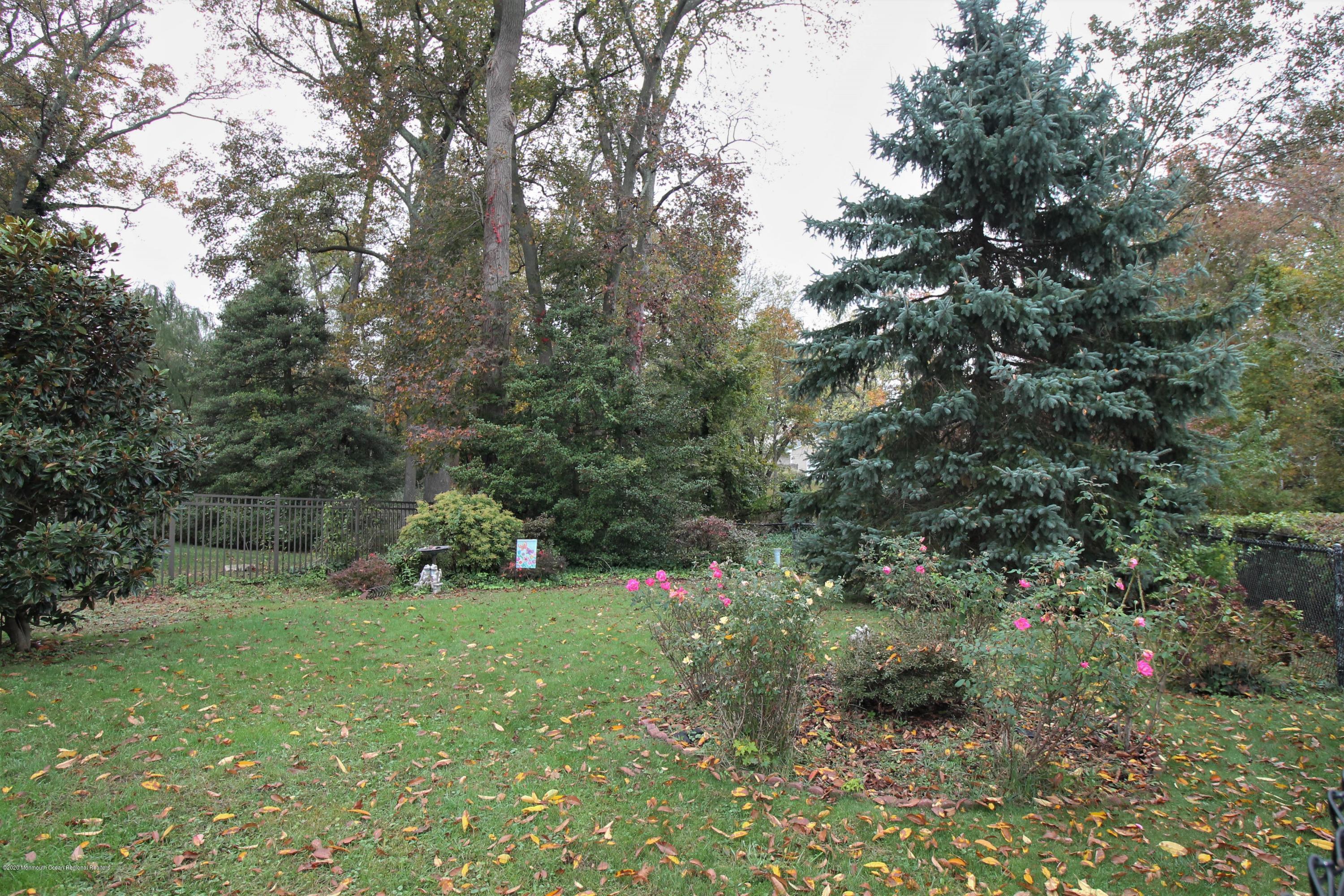54 Ridge Avenue Manasquan, NJ 08736 - Photo 42 of 42 a view of a field with a tree
