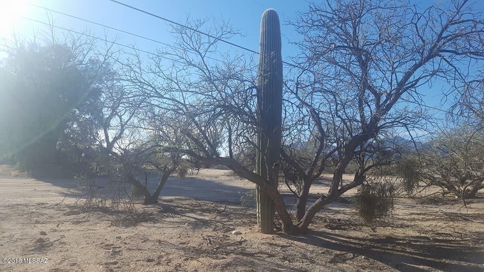 11115 East Tanque Verde Road Tucson, AZ 85749 - Photo 18 of 23 Gallery Image 18