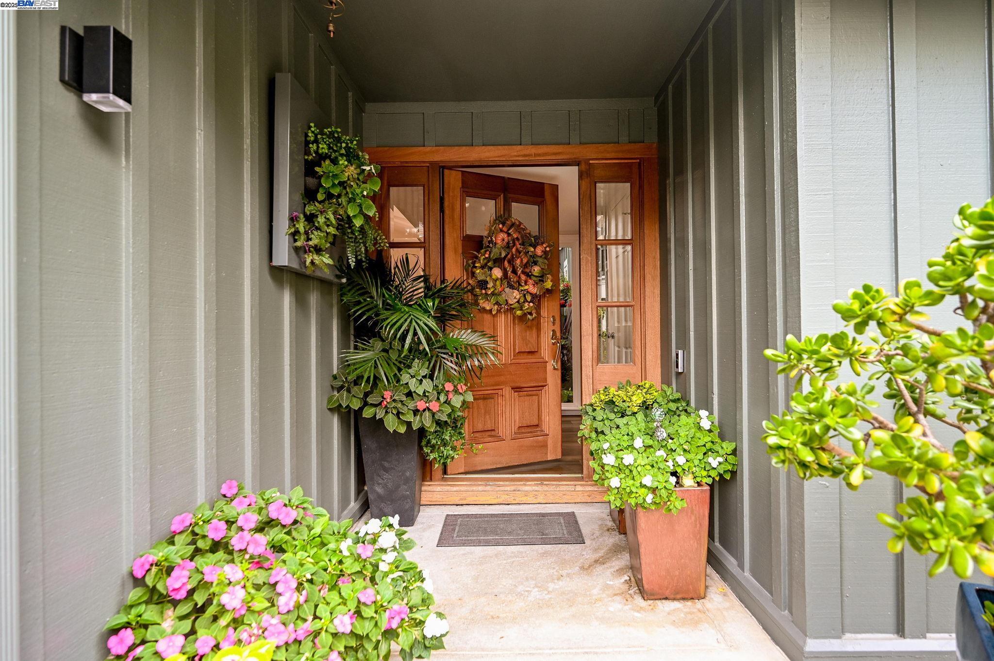 a potted plant sitting in front of a door
