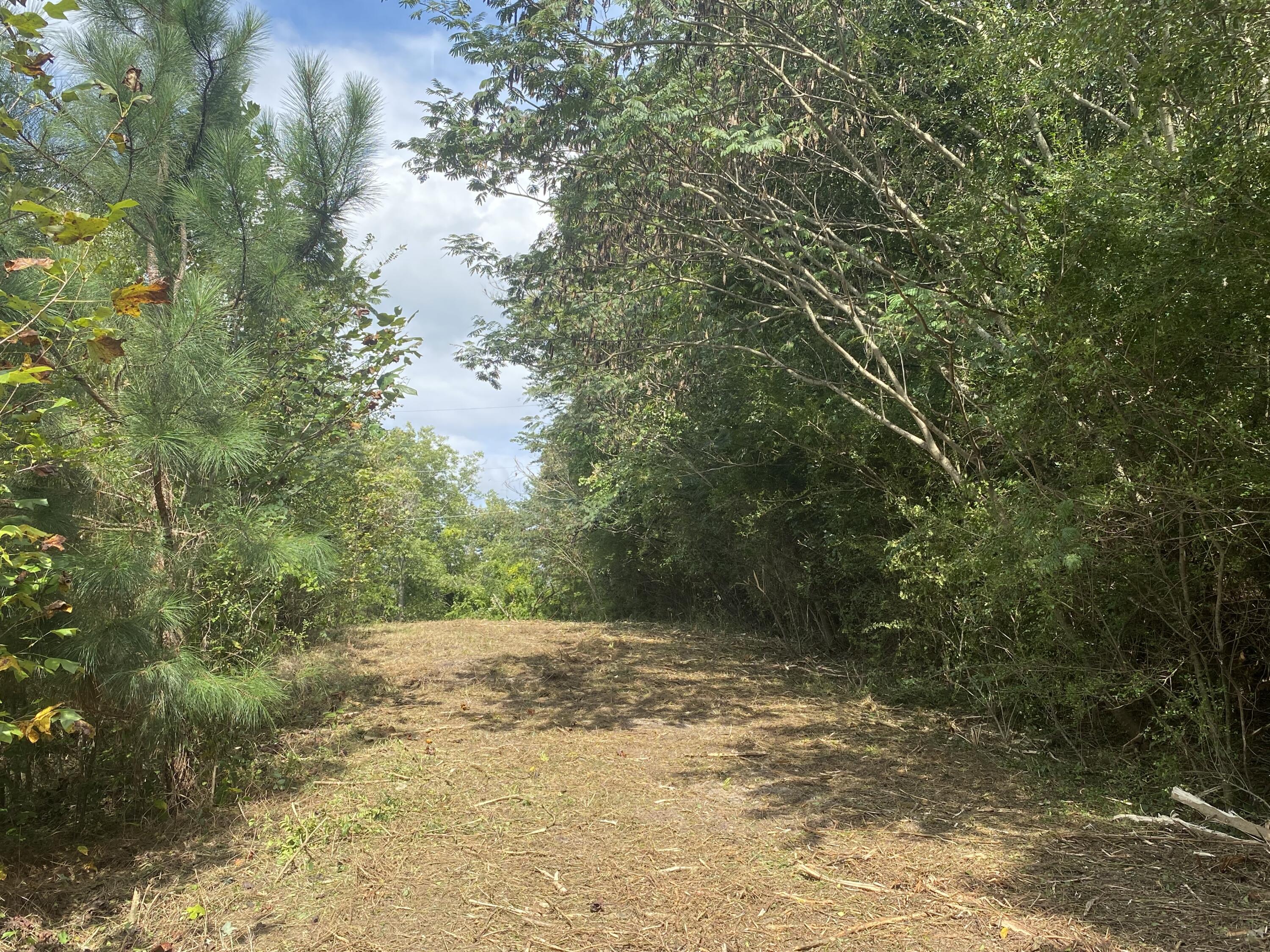 6723 Holder Road Harrison, TN 37341 - Photo 3 of 6 C3B6D80F-80D5-42BC-86FE-4737C5B39744