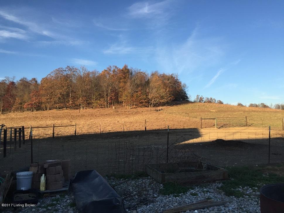 2207 Rabbit Flat Road Caneyville, KY 42721 - Photo 27 of 34 20
