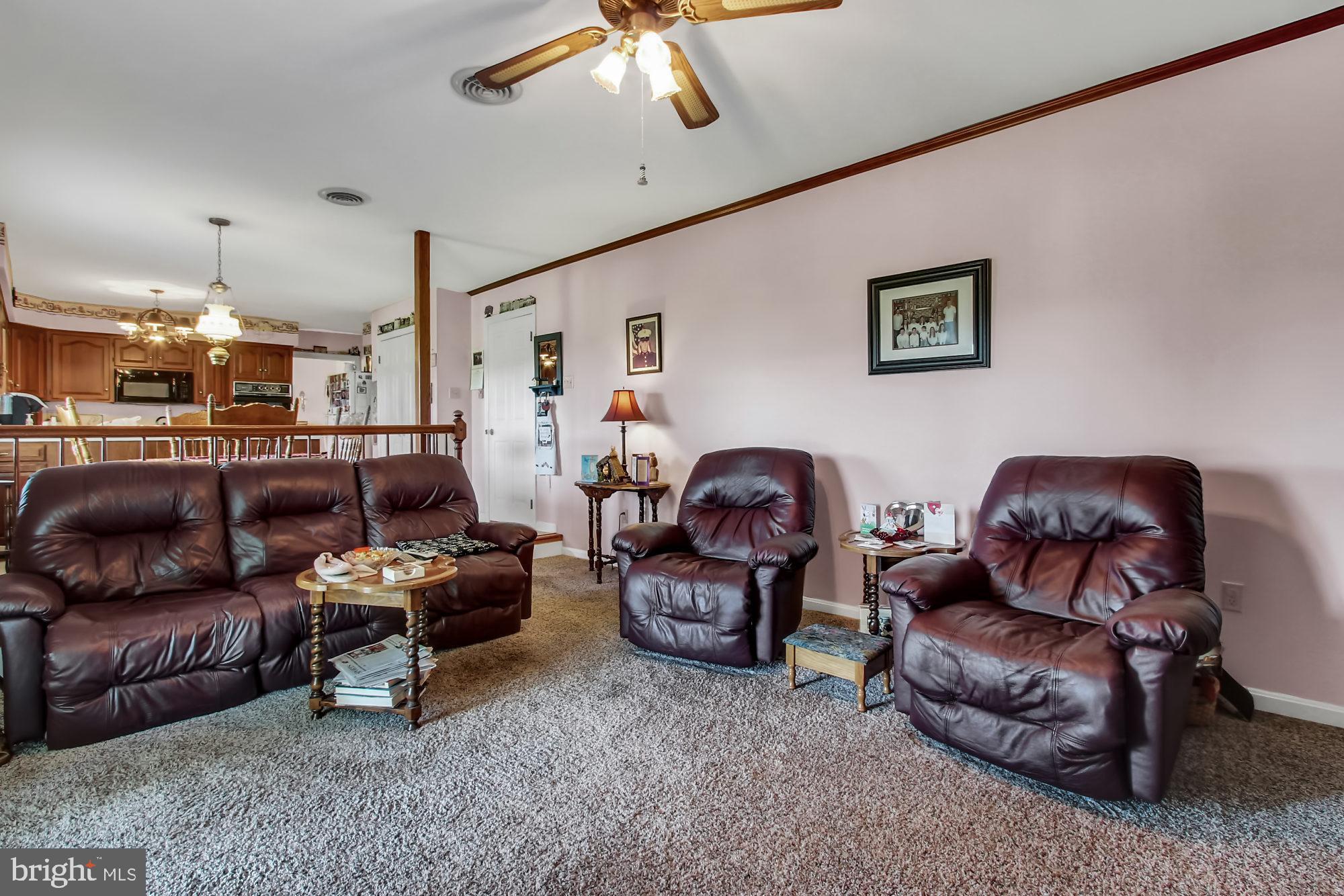 22364 Durberry Road Smithsburg, MD 21783 - Photo 14 of 37 Family room w/ ceiling fan and fireplace