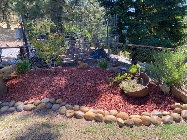 a view of a backyard with plants and tree