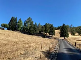 a view of a yard with trees and a building