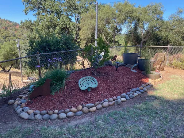 a view of a backyard with plants and a patio