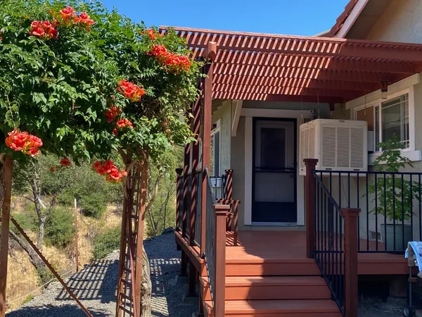 a picture of flowers