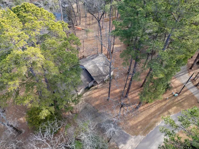 $330,000 | 132 Pine Glen Lane, Holly Lake Ranch, TX 75765