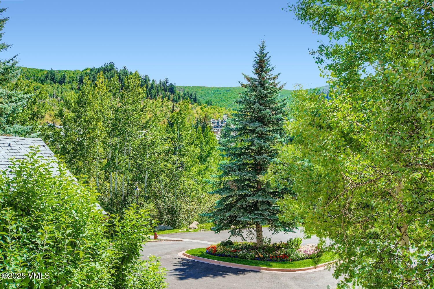1120 Village Road, Unit 204 Beaver Creek, CO 81620 - Photo 26 of 29 a view of a garden in a yard