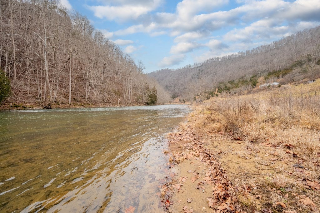 638 Shepard Hollow Road Honaker, VA 24260 - Photo 15 of 75 Gallery Image 15