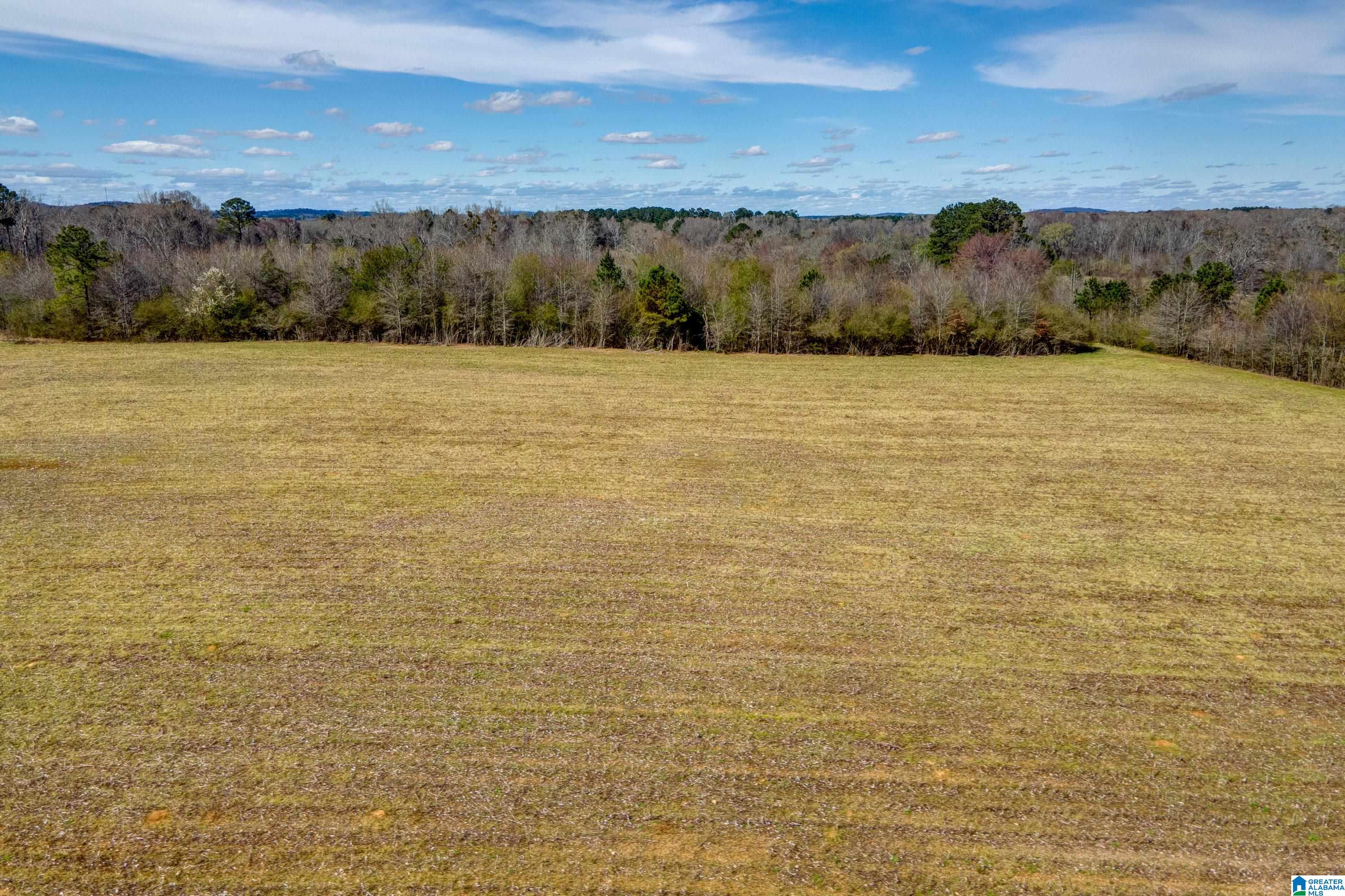 Bates Road, Unit 100 Vincent, AL 35178 - Photo 12 of 29