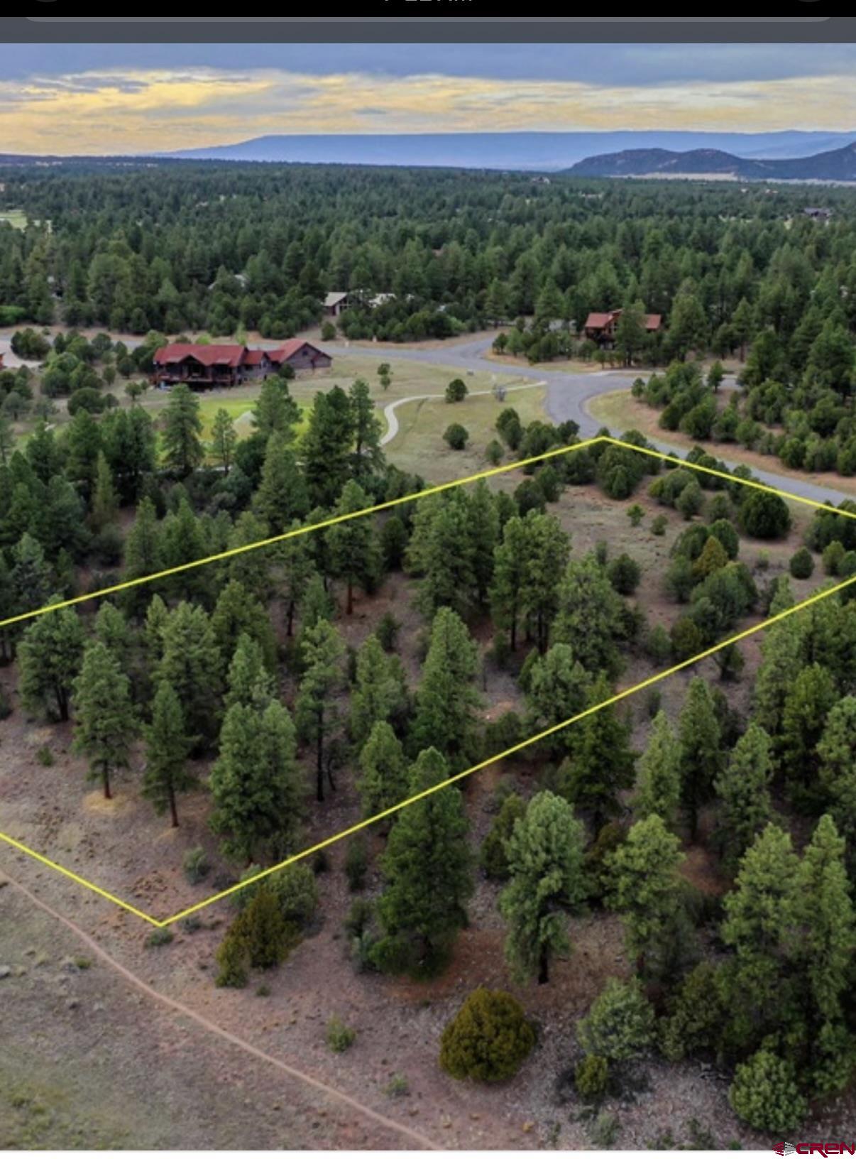 a view of a city and mountains in a yard