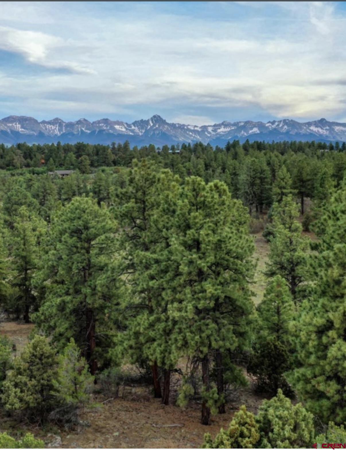52 White Tail Lane Ridgway, CO 81432 - Photo 4 of 7 a view of a green field with lots of bushes