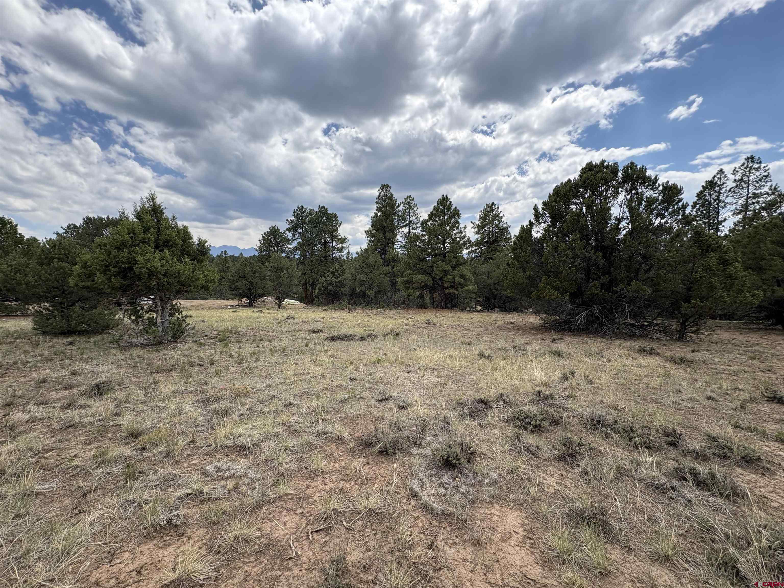 52 White Tail Lane Ridgway, CO 81432 - Photo 5 of 7 a view of a dry yard with wooden fence