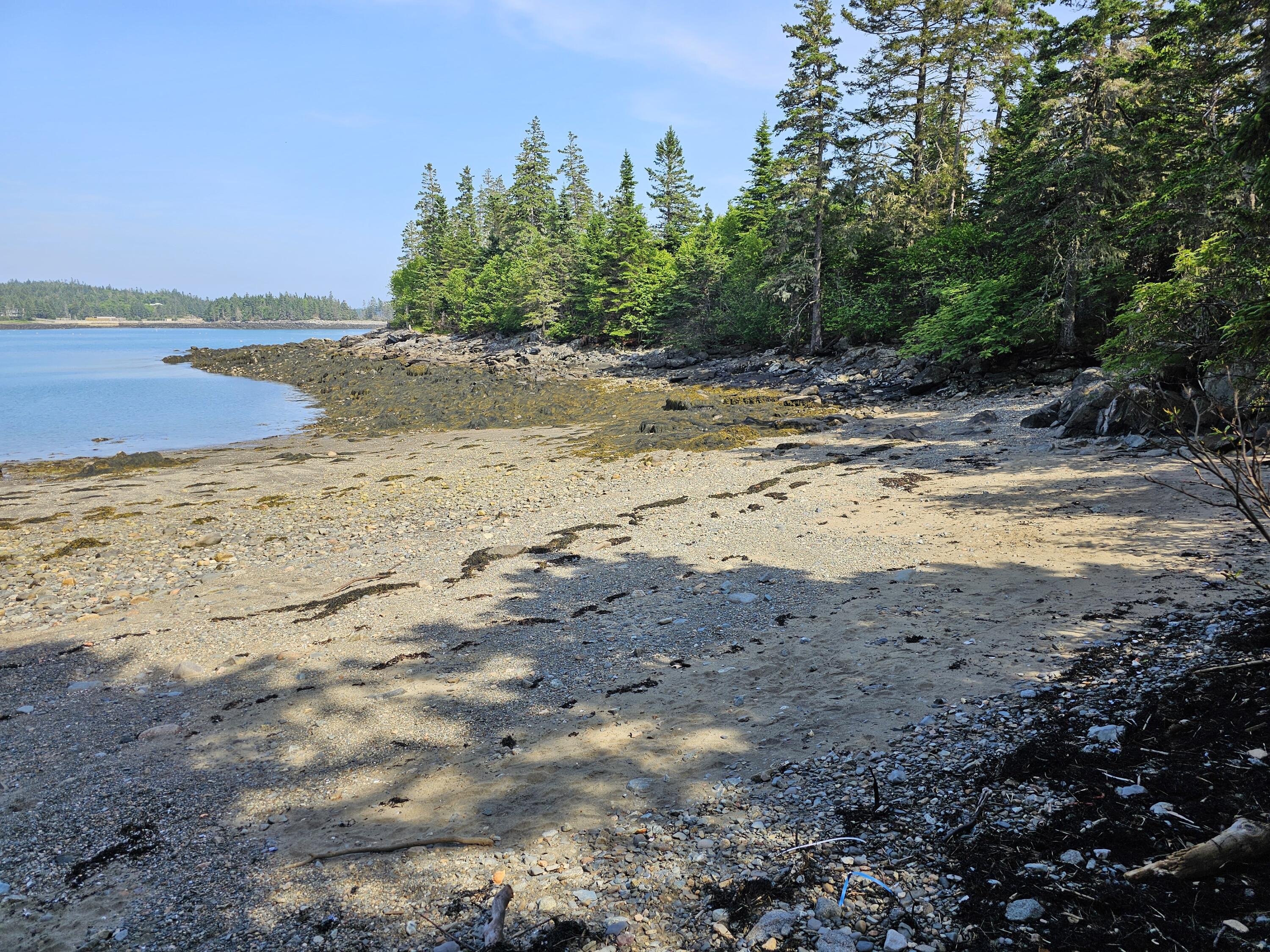 88 Cape Circle Addison, ME 04606 - Photo 57 of 63 Cape Split Association Whale Cove Beach