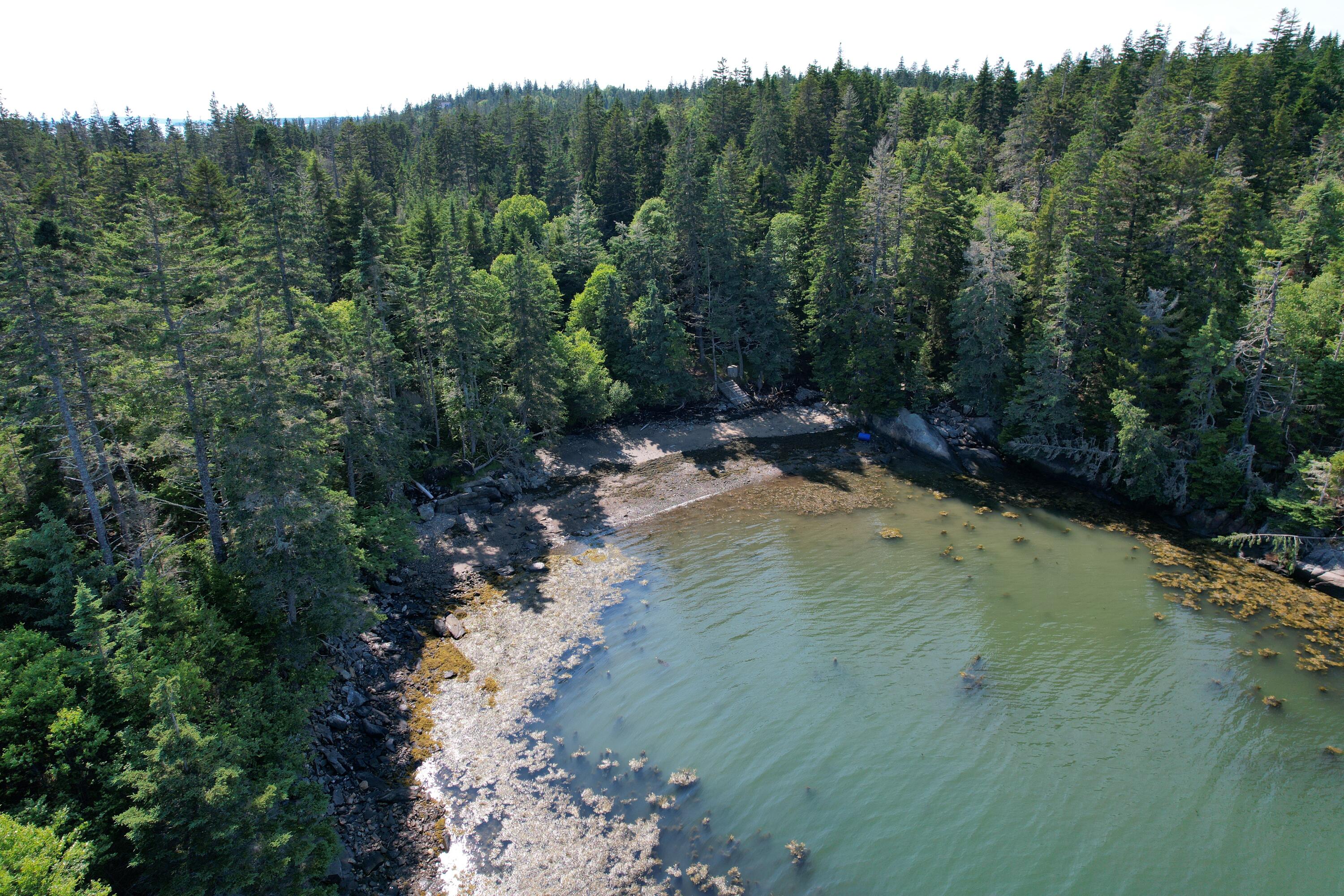 88 Cape Circle Addison, ME 04606 - Photo 58 of 63 Cape Split Association Whale Cove Beach