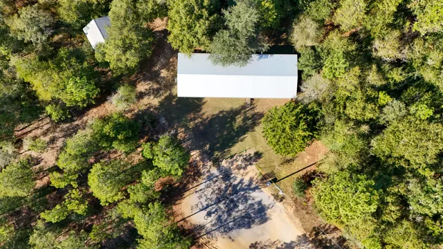 a view of a tree with a park