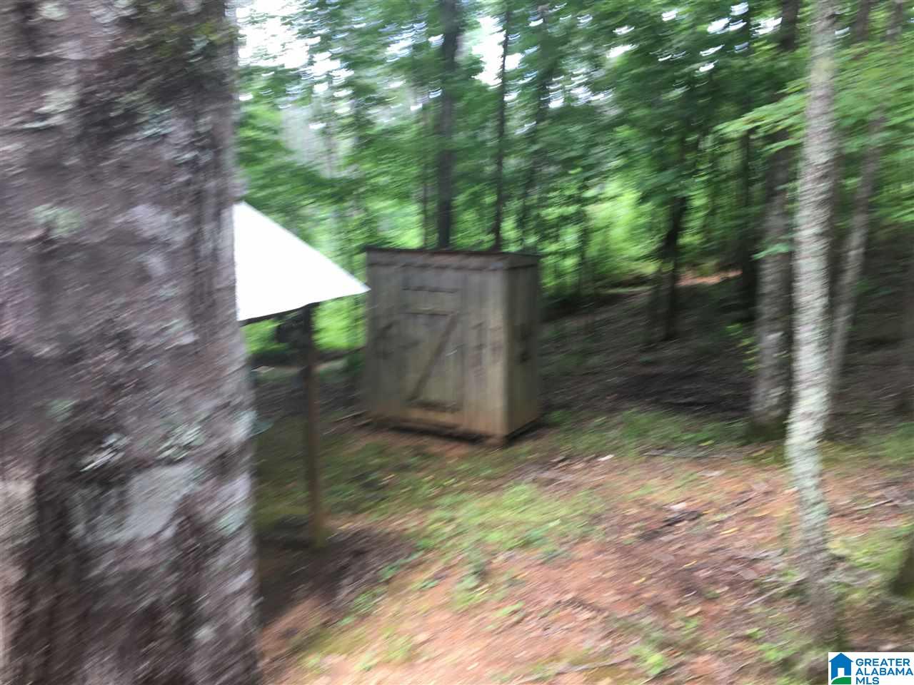 7395 Germany Mountain Road Talladega, AL 35160 - Photo 3 of 6