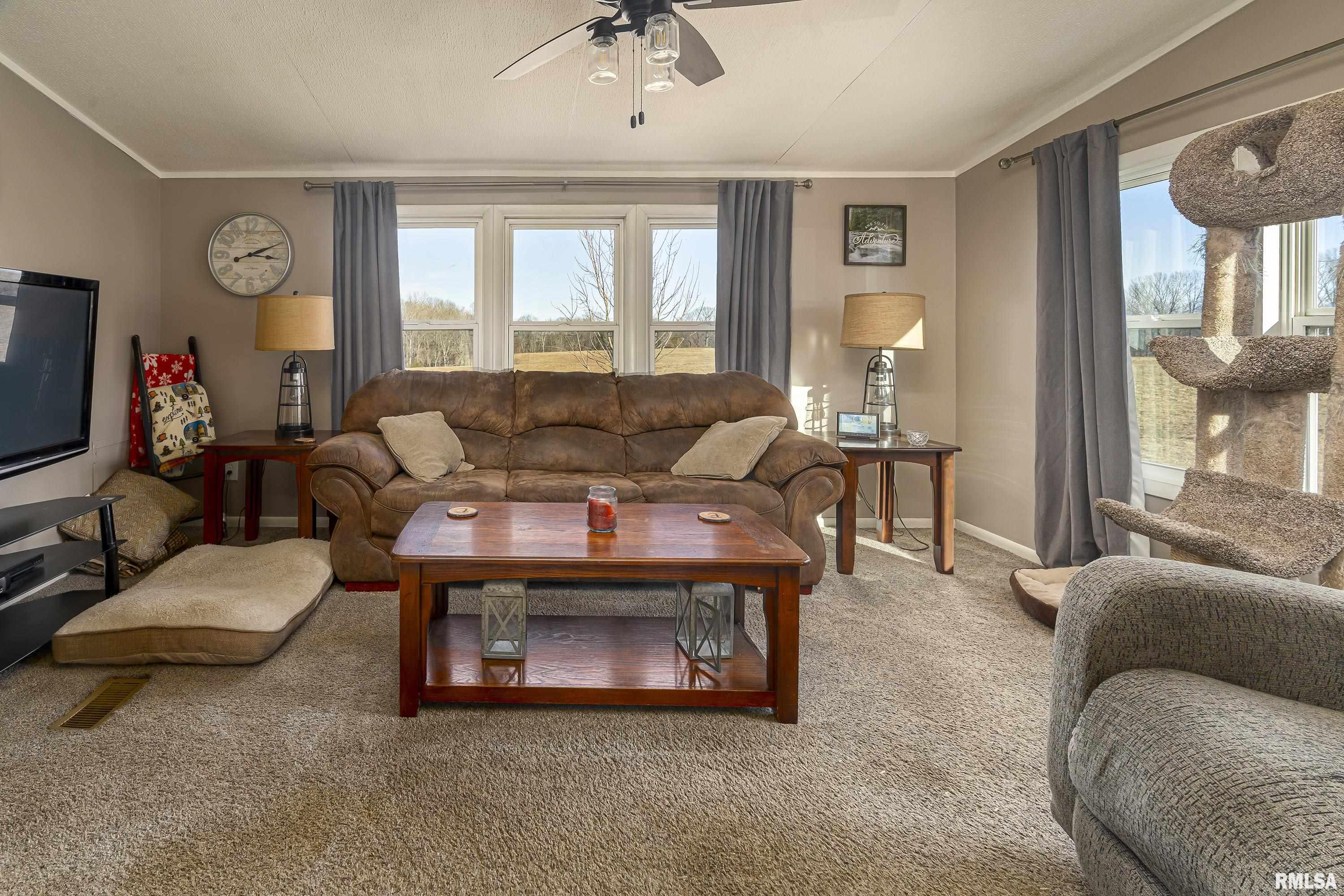 3980 Buncombe Road Vienna, IL 62995 - Photo 18 of 33