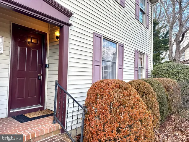 a view of backyard with large tree