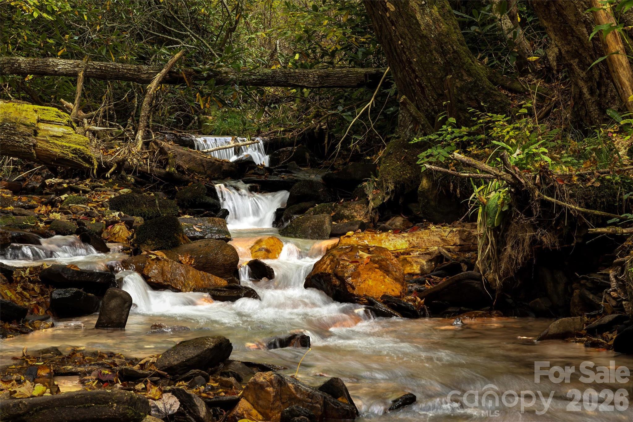 758 Mash Stomp Road Maggie Valley, NC 28751 - Photo 2 of 47 Gallery Image 2