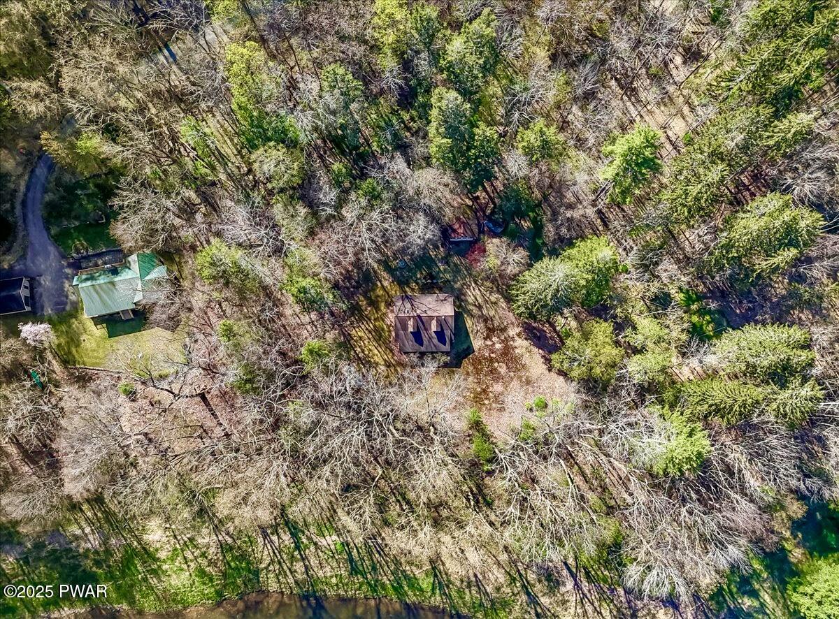 564 A Peggy Runway Road Beach Lake, PA 18405 - Photo 46 of 66