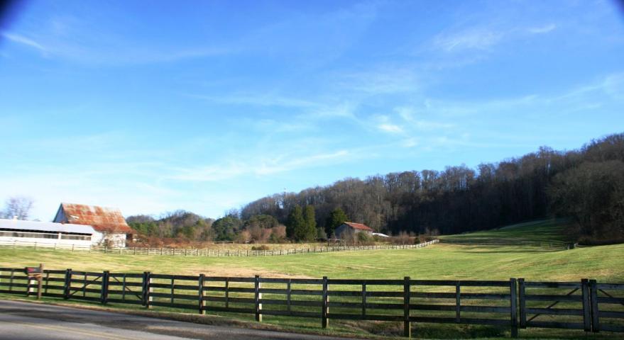 6309 Beaver Ridge Road Knoxville, TN 37931 - Photo 16 of 19 Neighbor