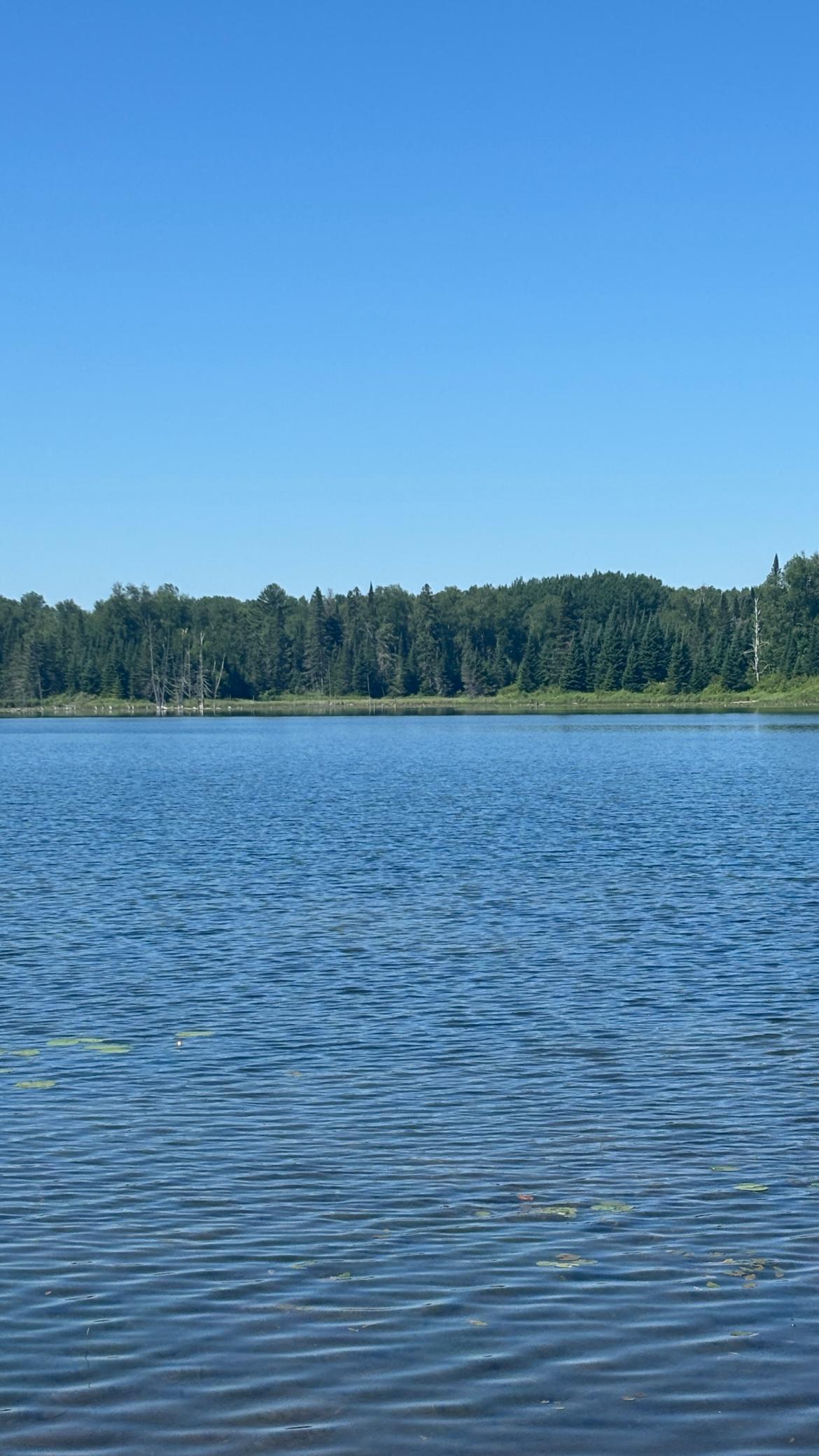 37363 Amen Lake Road Deer River, MN 56636 - Photo 11 of 28