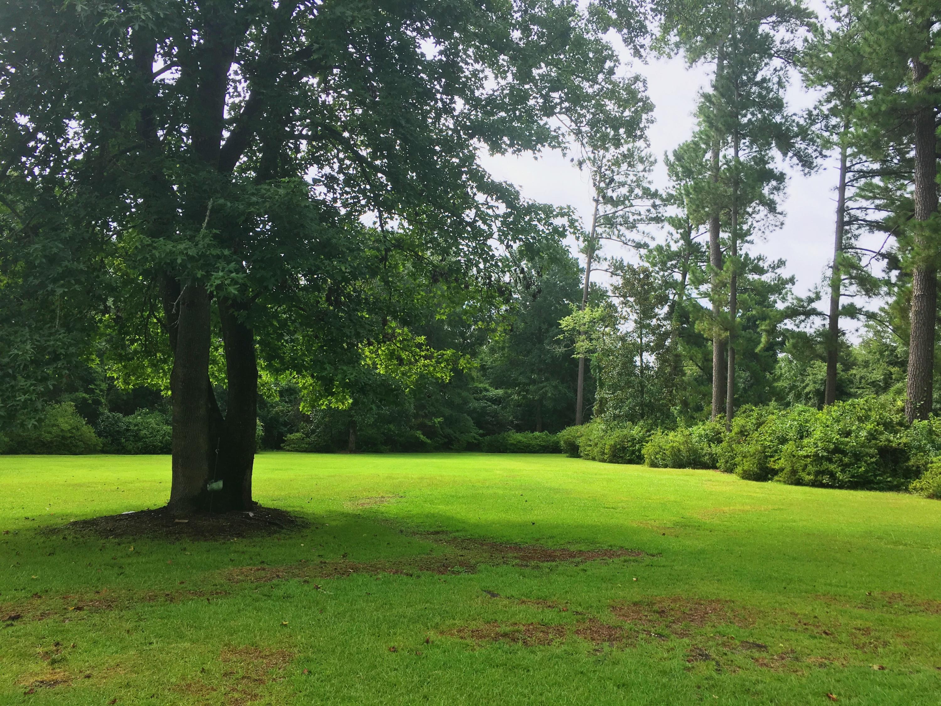 1846 Ruffin Road Walterboro, SC 29488 - Photo 2 of 15 1846 Ruffin Road