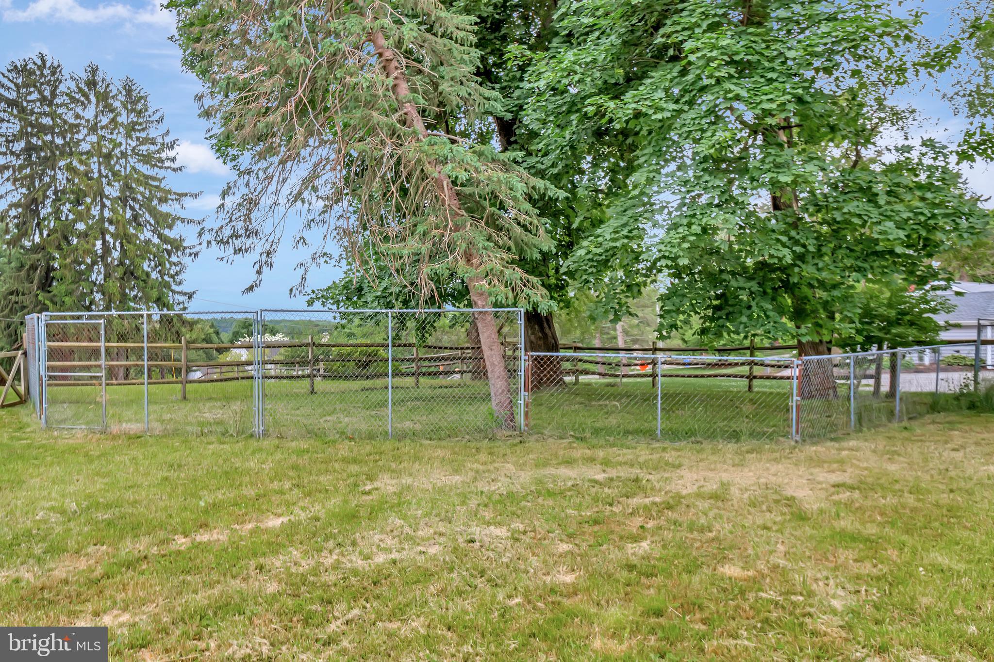 101 Mattson Road Garnet Valley, PA 19060 - Photo 40 of 67 Dog area