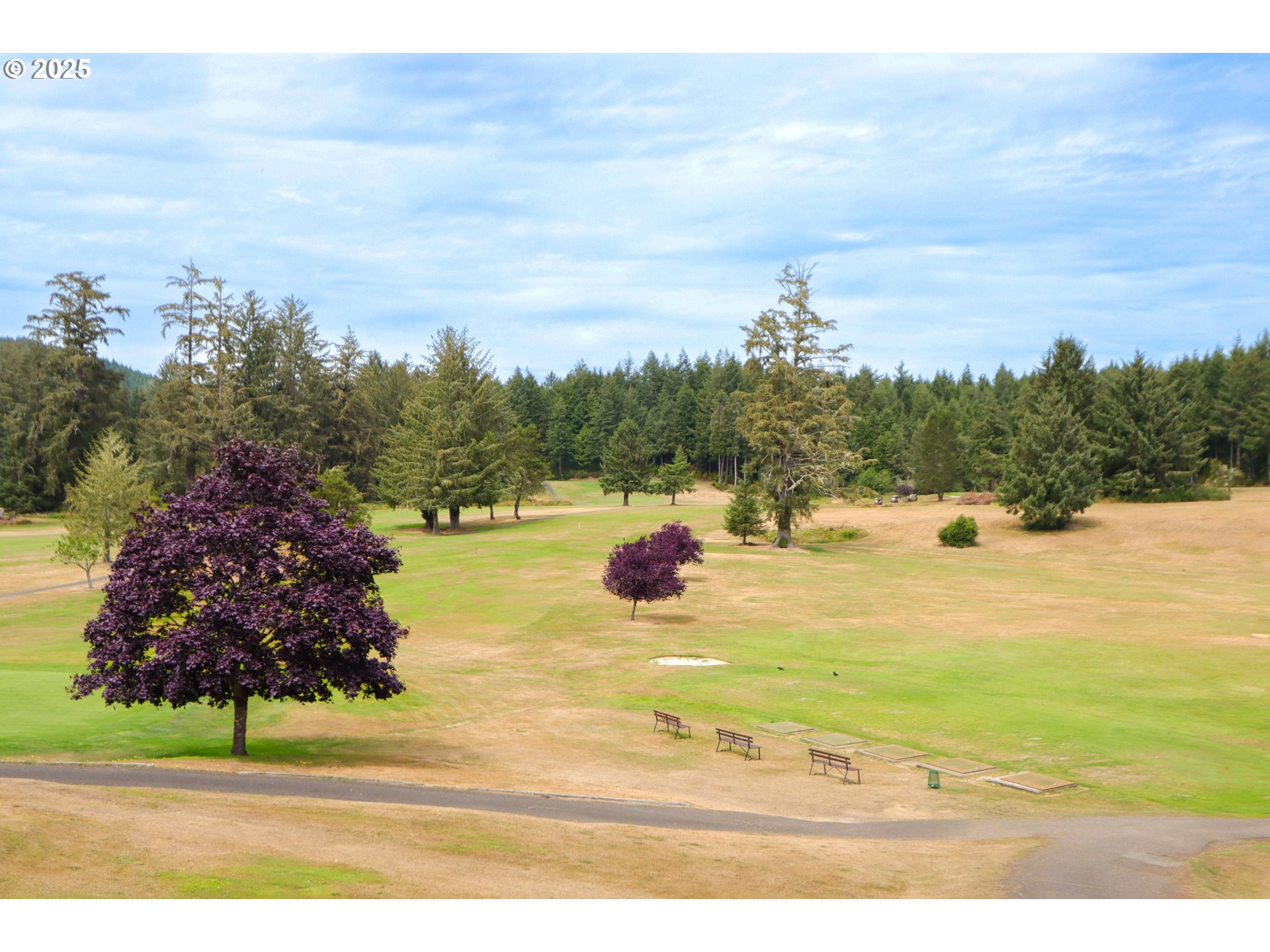 425 Providence Drive Reedsport, OR 97467 - Photo 29 of 33 a view of a lake with a mountain