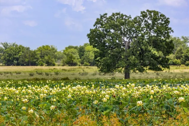 $11,200,000 | 2705 Mabank Tx 75147, Mabank, TX 75147