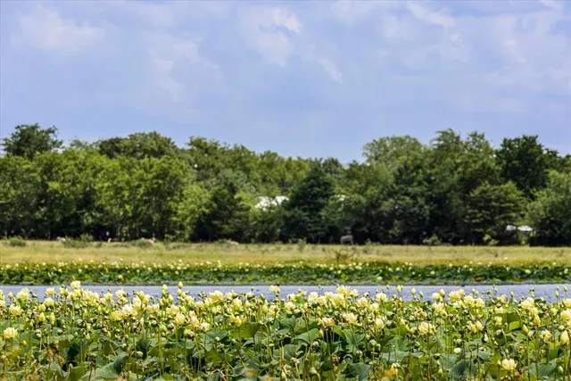 $11,200,000 | 2705 Mabank Tx 75147, Mabank, TX 75147